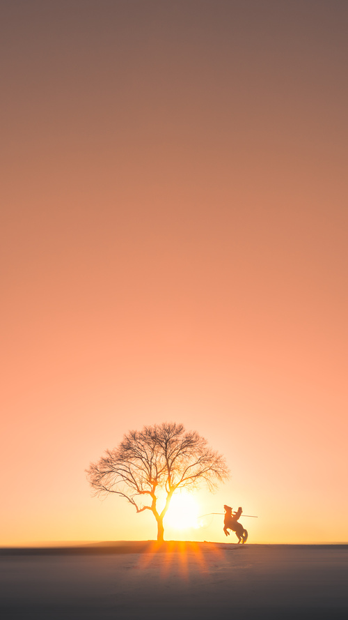 意大利女子麦迪逊车队获得金牌，意大利女子麦迪逊车队获得金牌的是谁