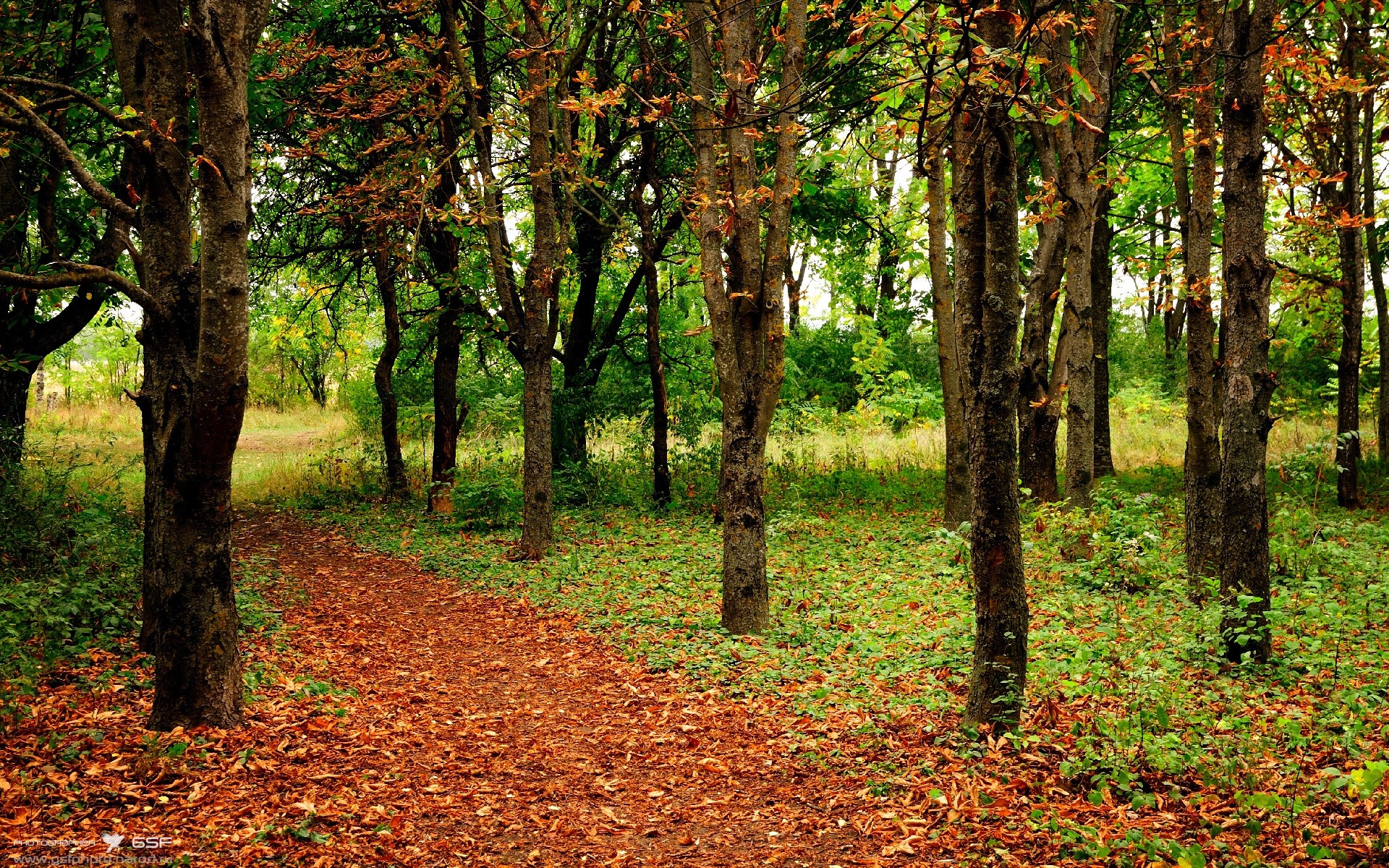 爱游戏娱乐-【天使队的崛起】新秀带来更多胜利希望，天使队图片