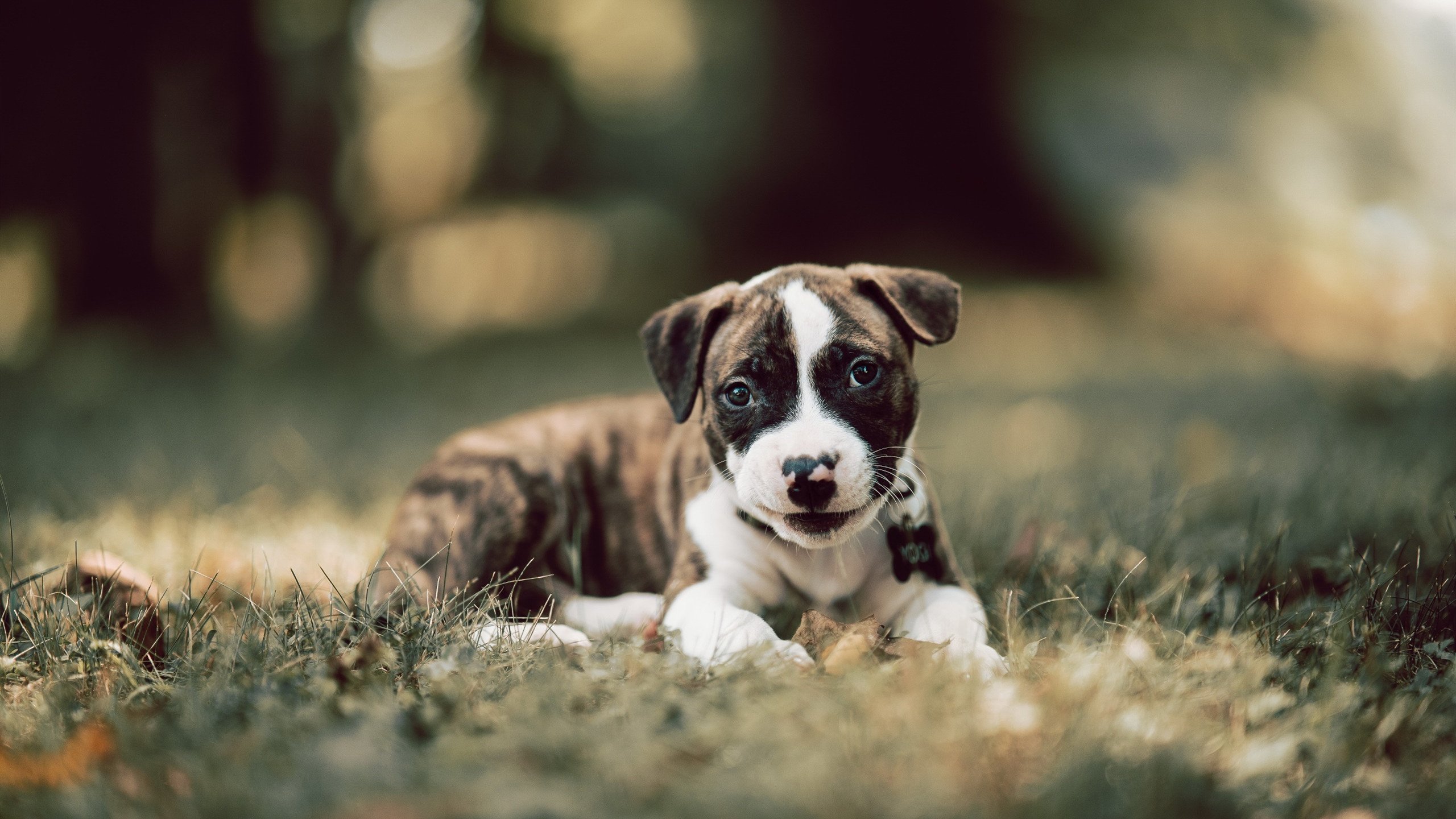 爱游戏在线娱乐官网-亲子瑜伽课程开设，促进亲子关系，亲子瑜伽体式