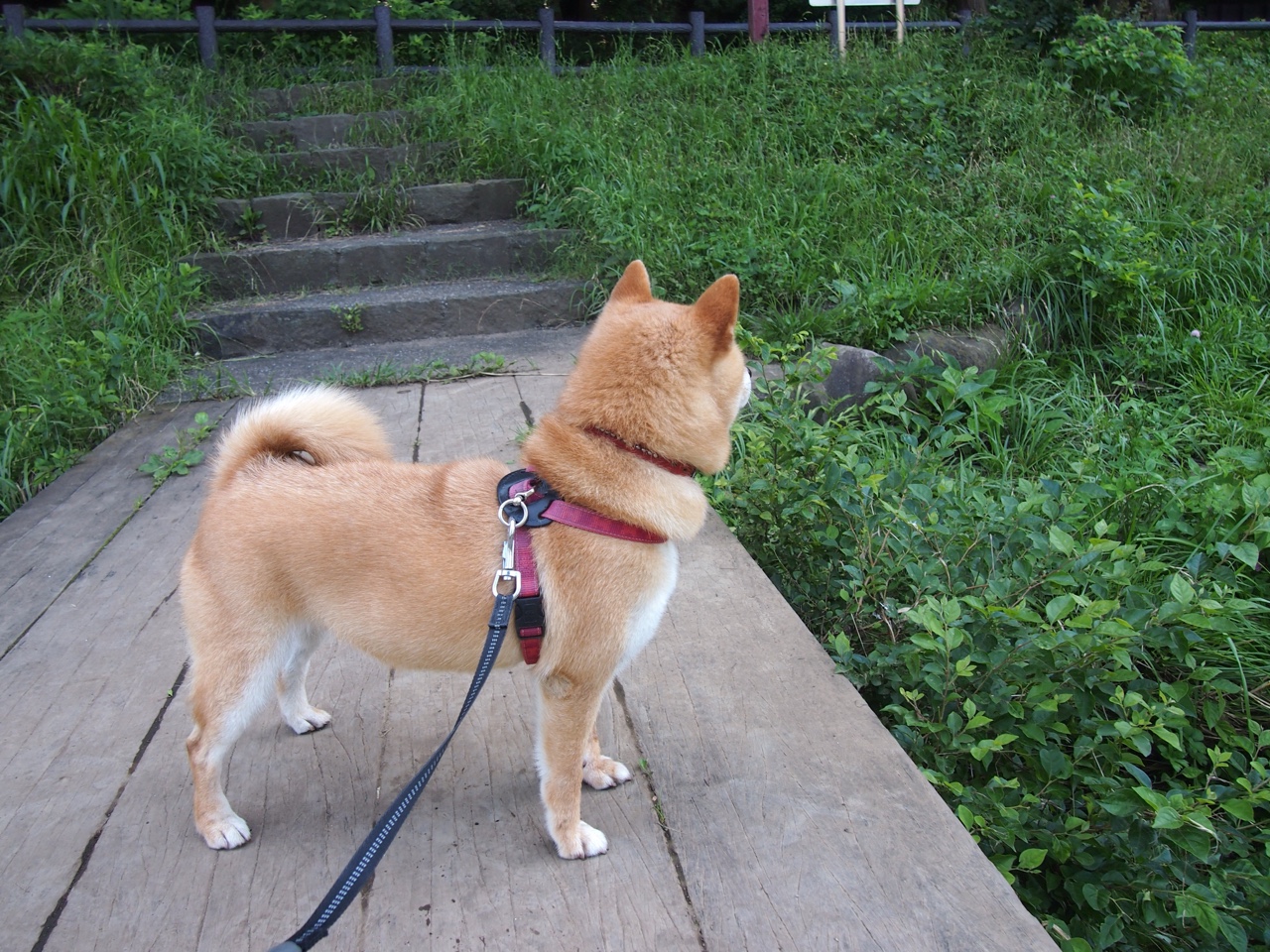 历史冠军：他们那些难忘的夺冠瞬间，历史夺冠训练